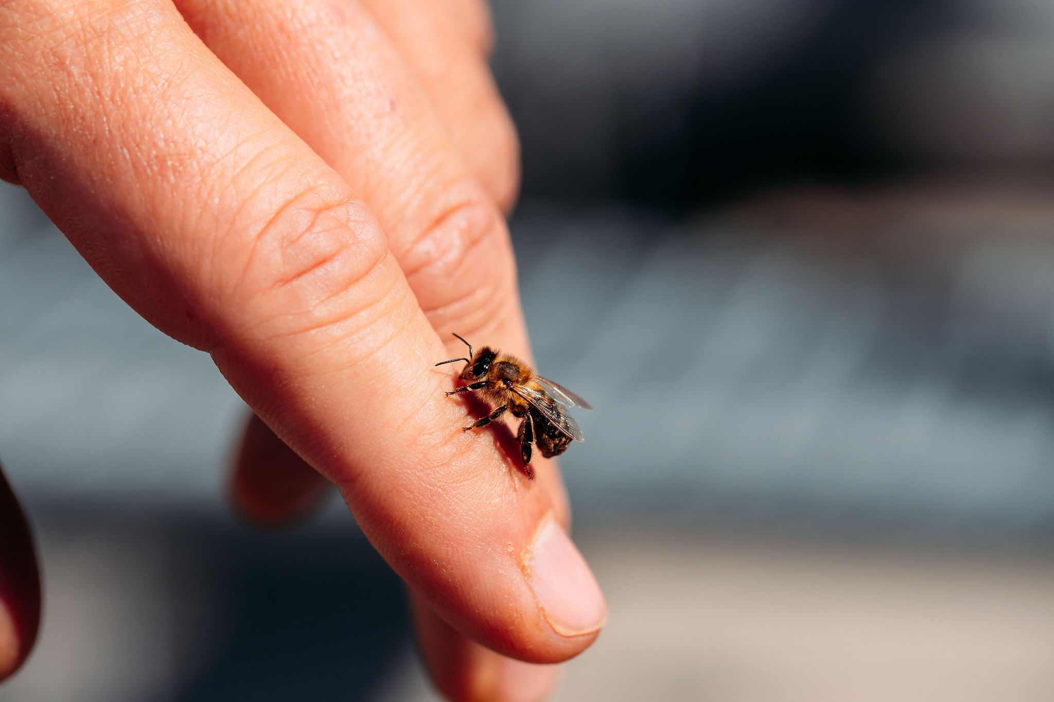 209593409_4382854238394295_7371255305719818533_n