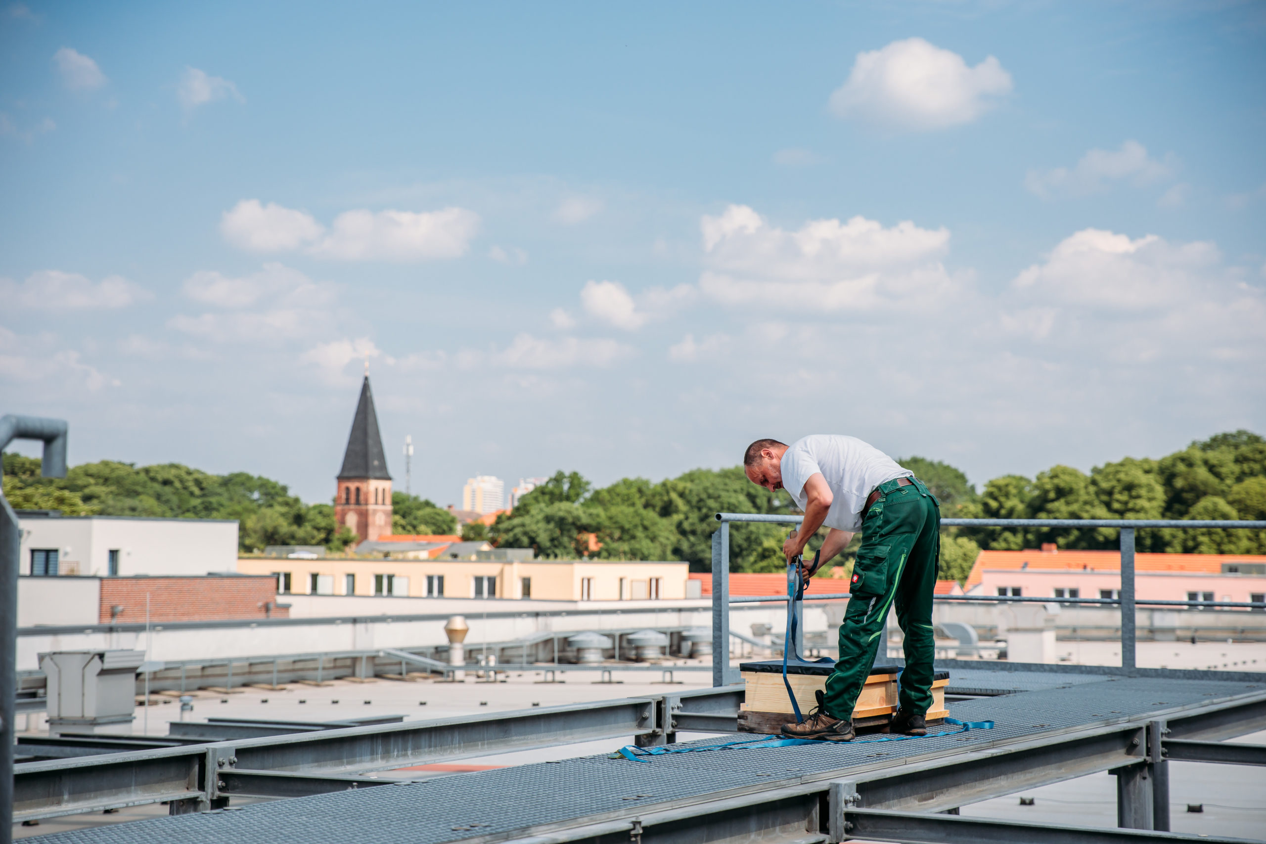 210611_Biesdorf-Center_Bienen_Teil1_0017