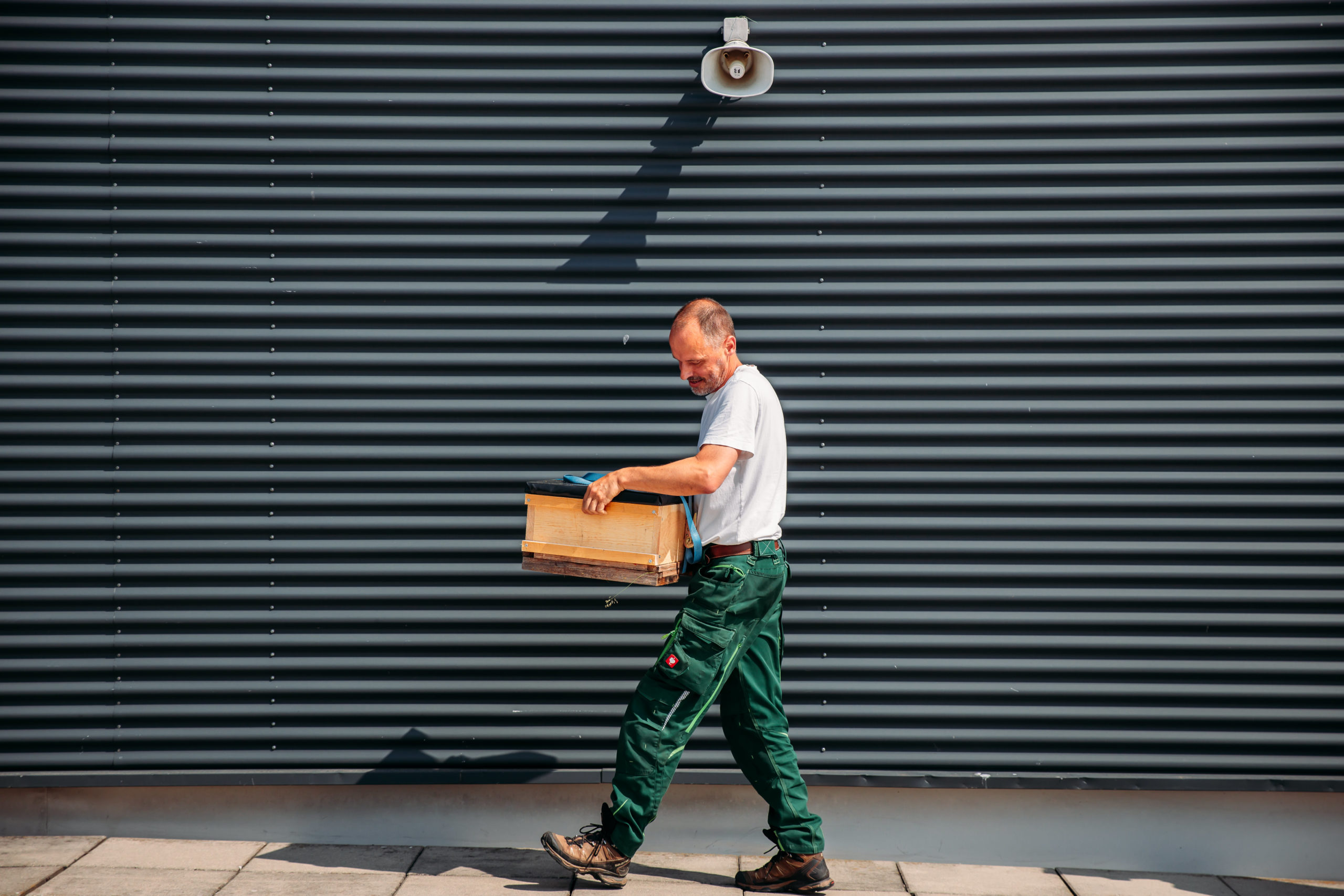 210611_Biesdorf-Center_Bienen_Teil1_0018-1