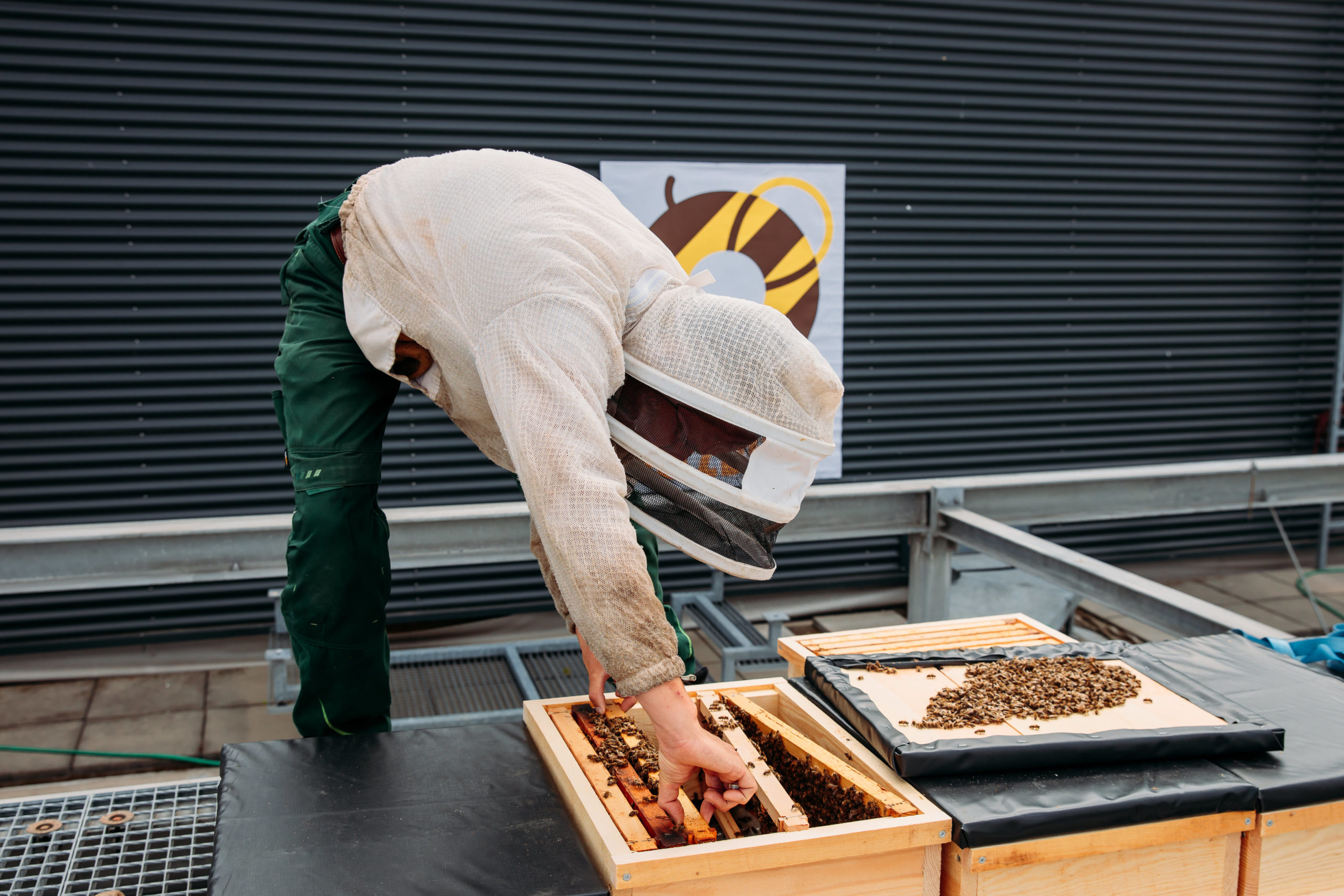 210611_Biesdorf-Center_Bienen_Teil1_0035