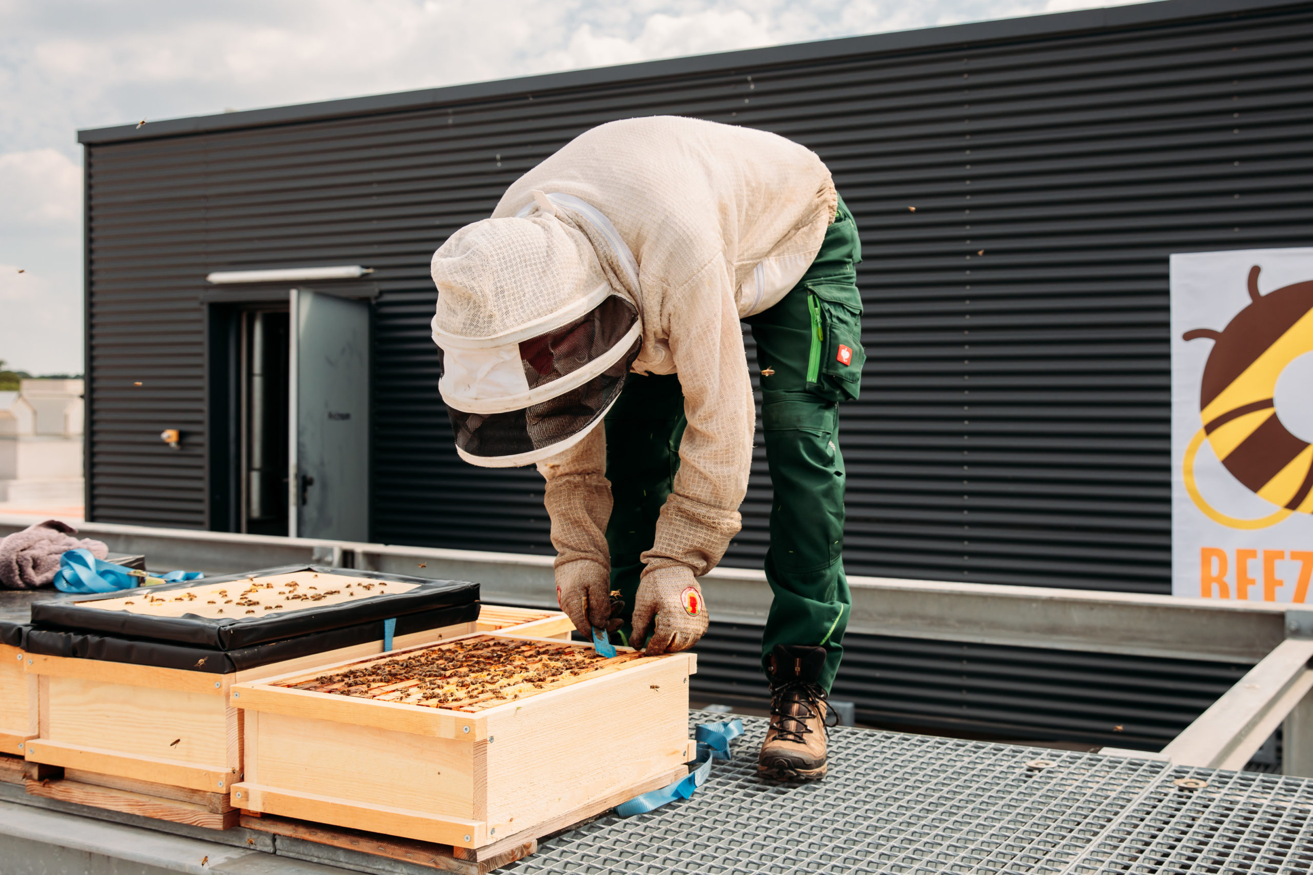 210611_Biesdorf-Center_Bienen_Teil1_0043-scaled-1