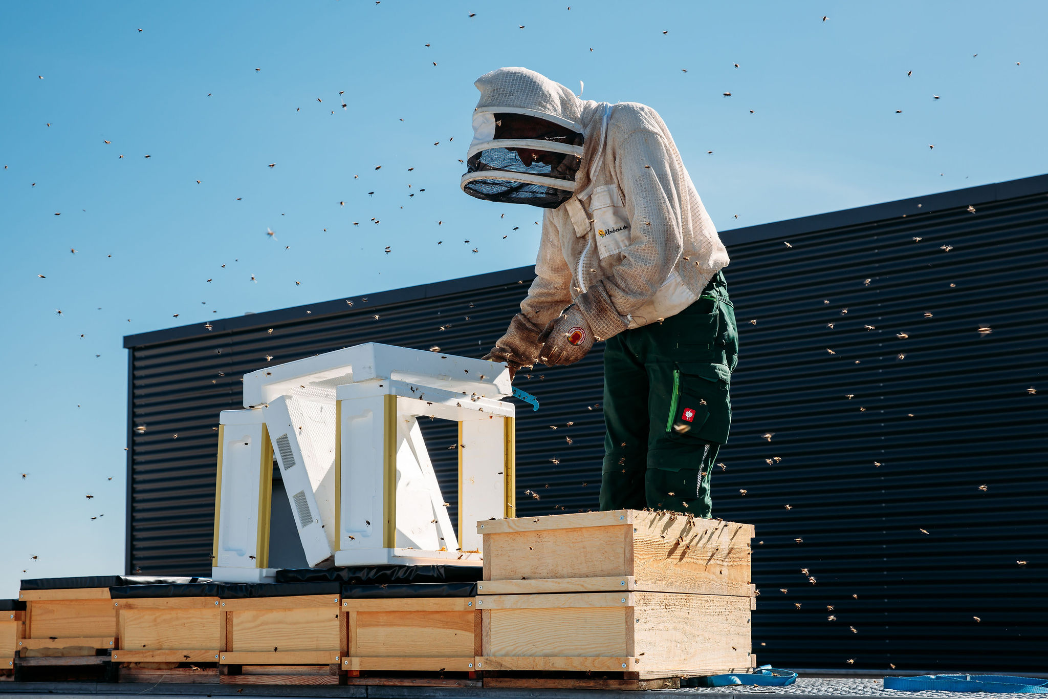 210616_Biesdorf-Center_Bienen_Teil2_0039