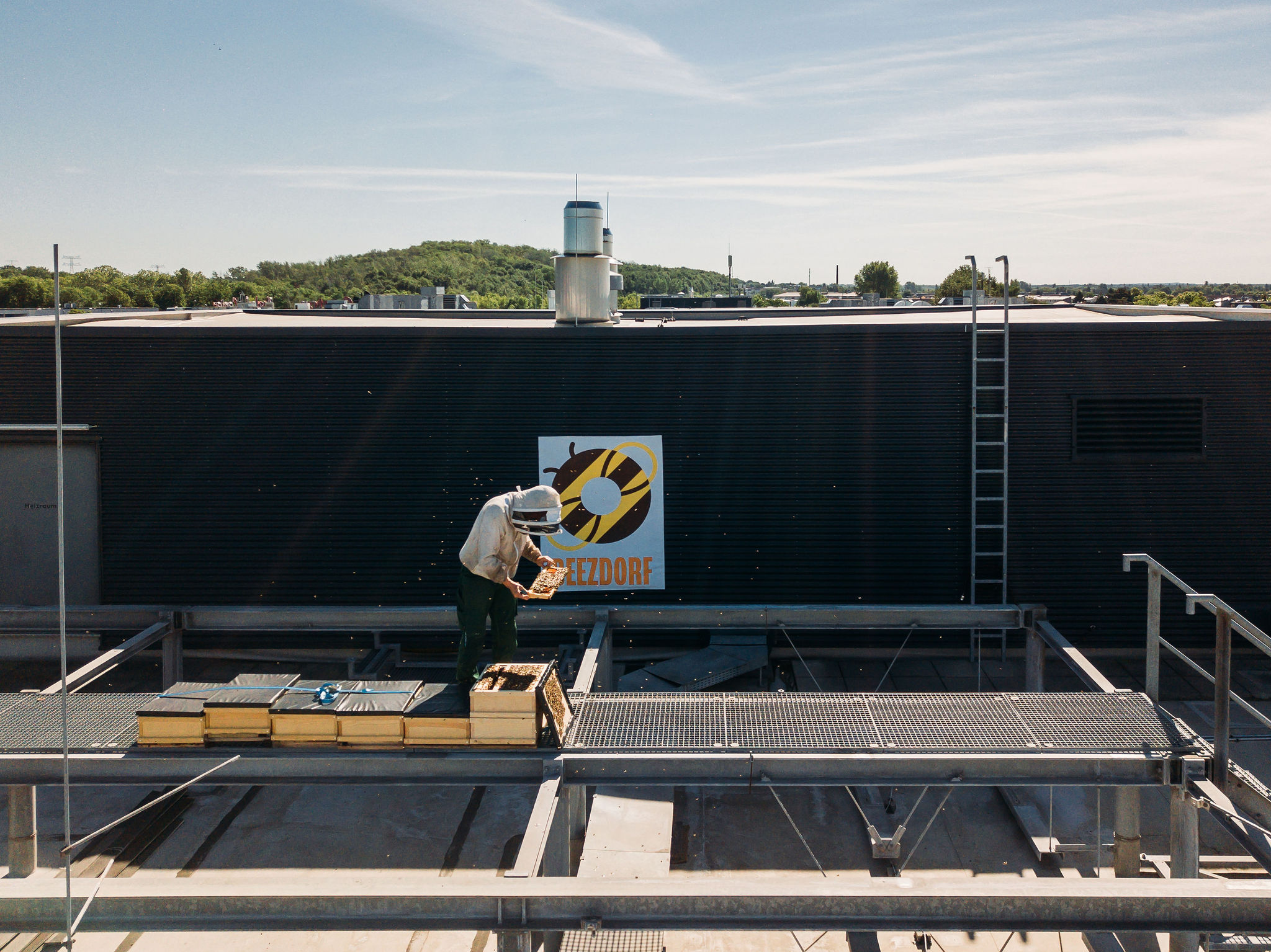 210616_Biesdorf-Center_Bienen_Teil2_0045