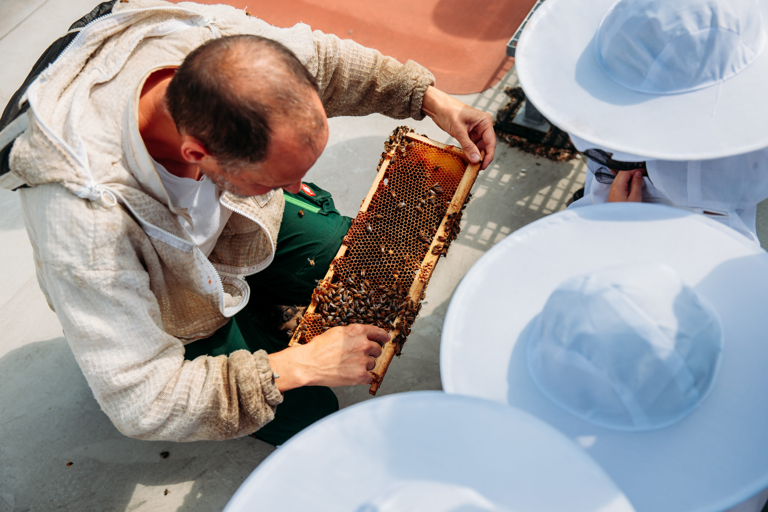 210625_Biesdorf-Center_Bienen_Teil3_0017-scaled-1