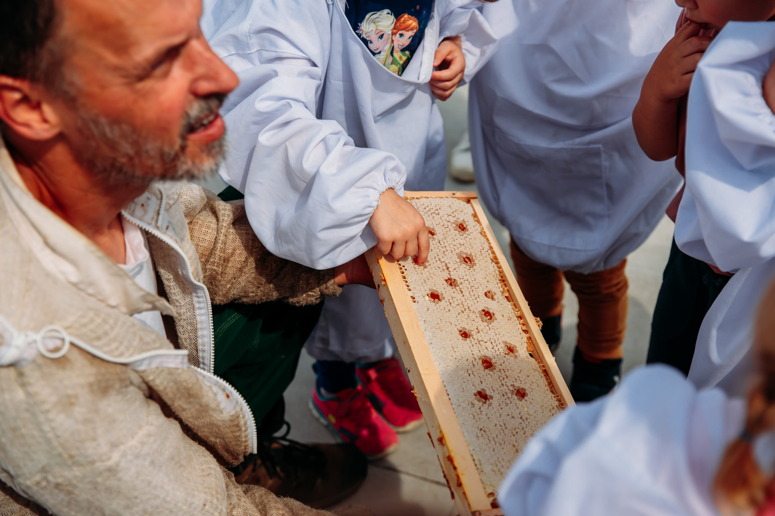210625_Biesdorf-Center_Bienen_Teil3_0034-scaled-1
