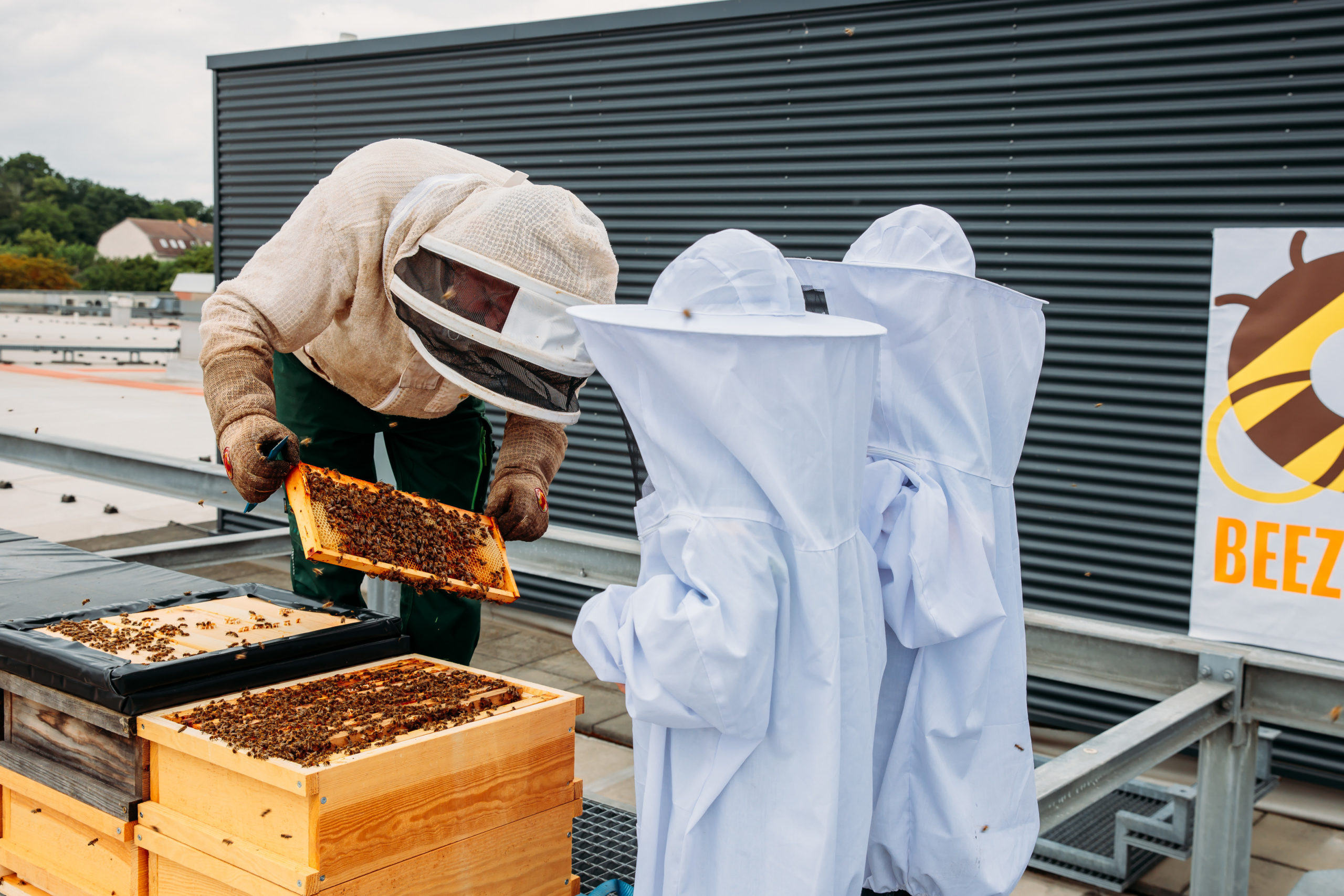210625_Biesdorf-Center_Bienen_Teil3_0122-scaled-1