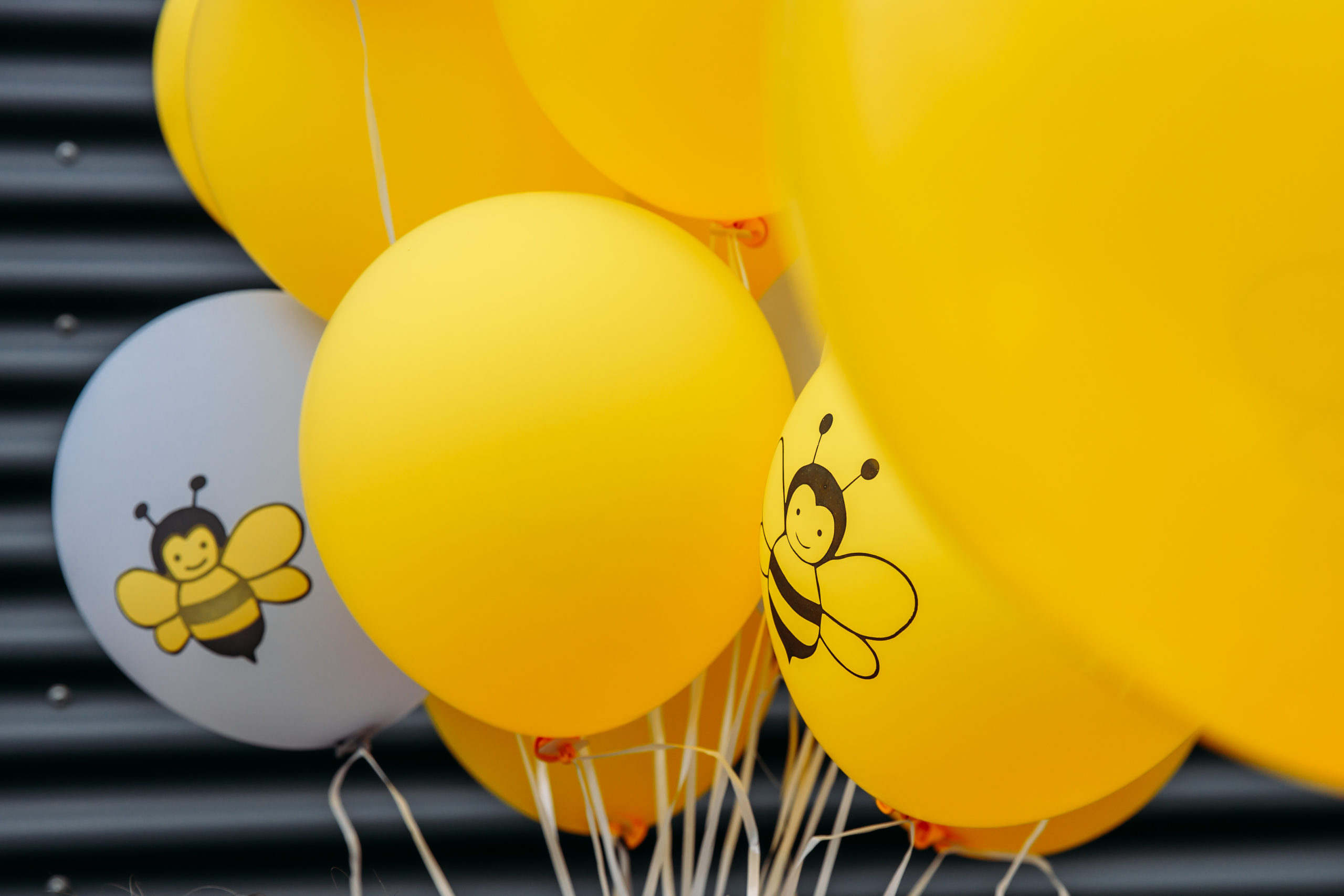 210625_Biesdorf-Center_Bienen_Teil3_0129-scaled-1