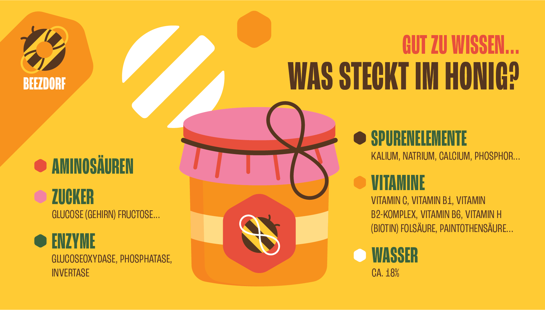 BEEZDORF-Honey-Infographics-02
